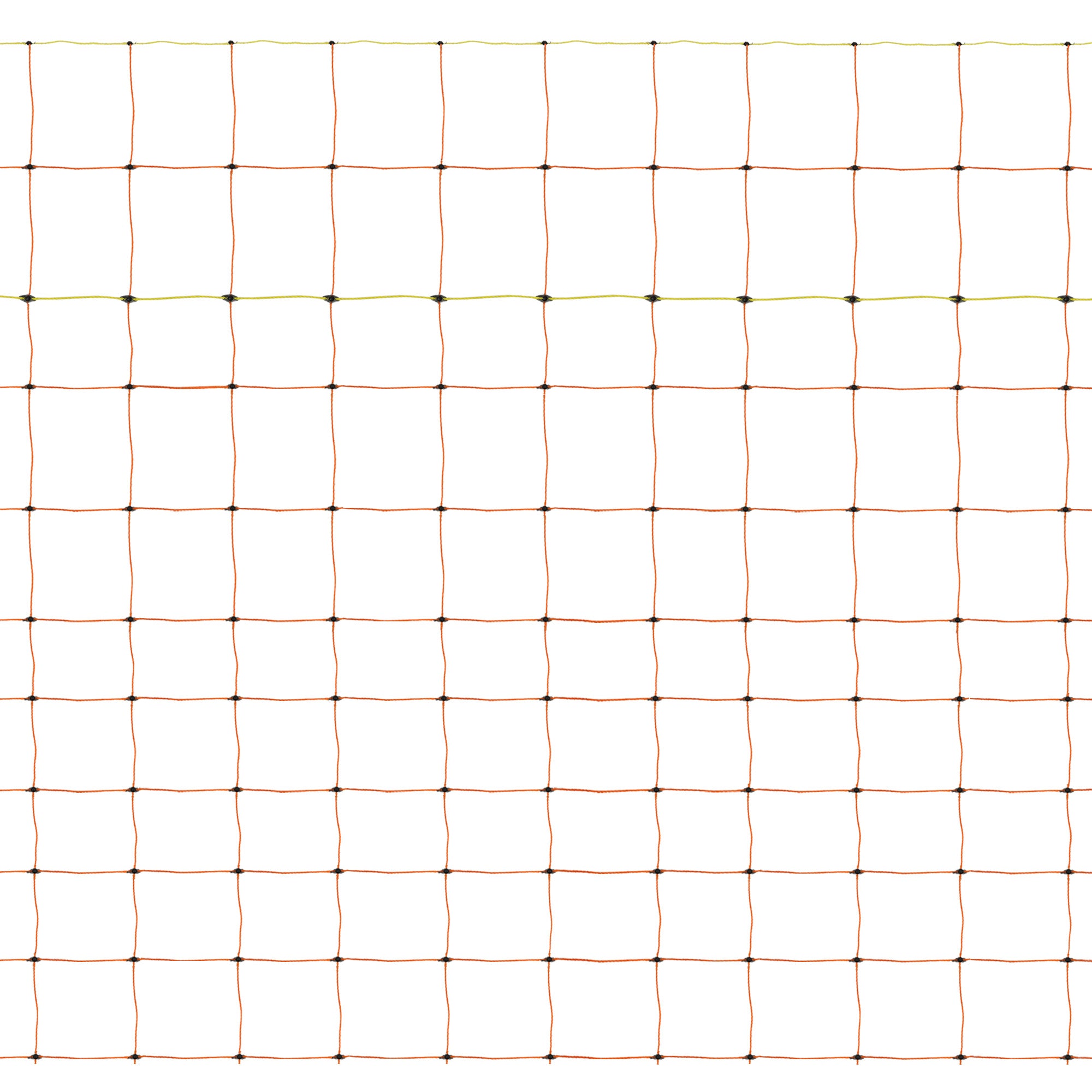 Electric Poultry Netting - 50m